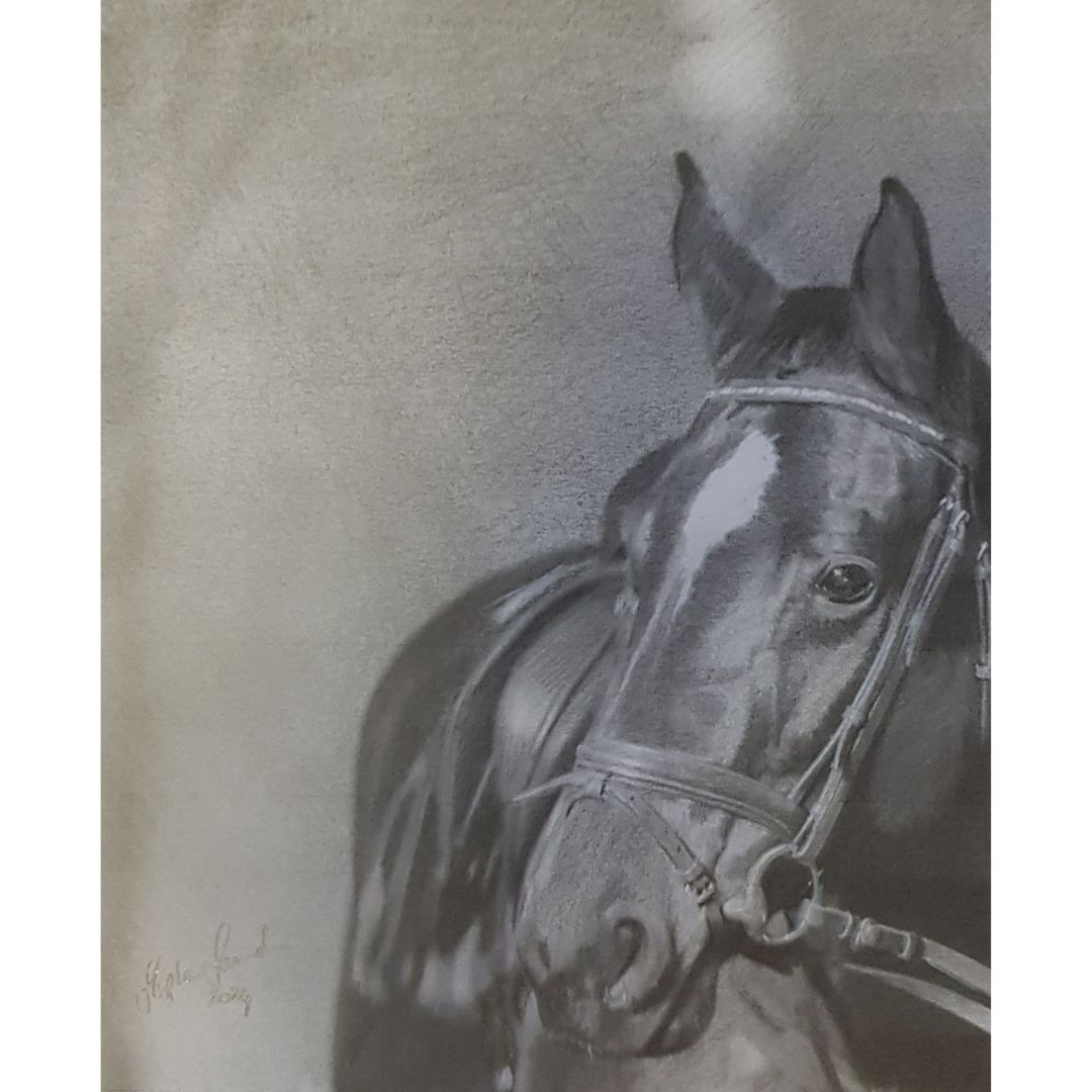 Black horse