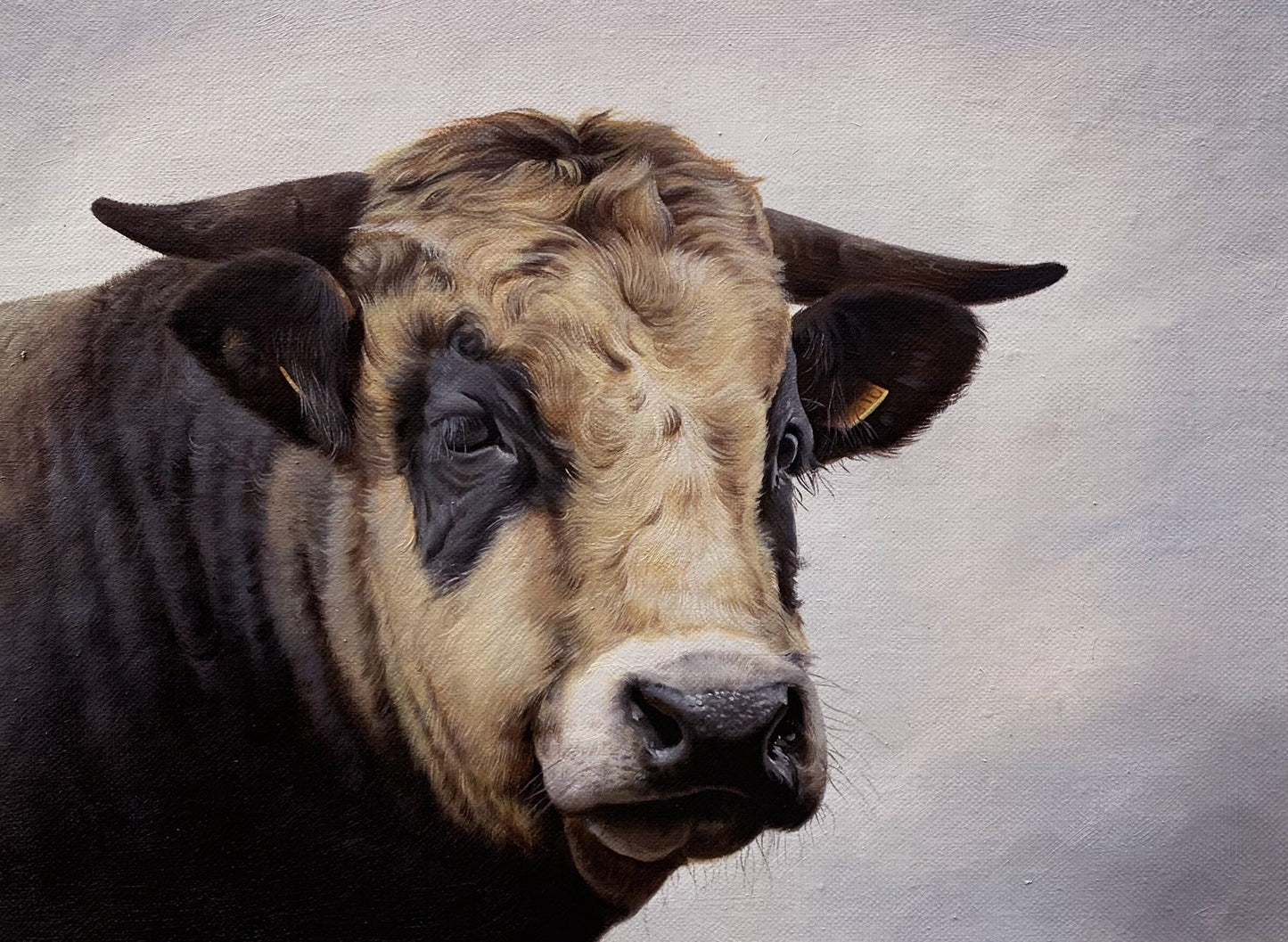 Bull, oil on canvas