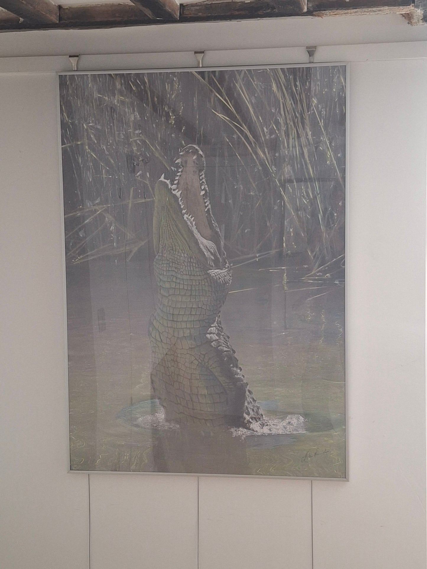 Crocodile