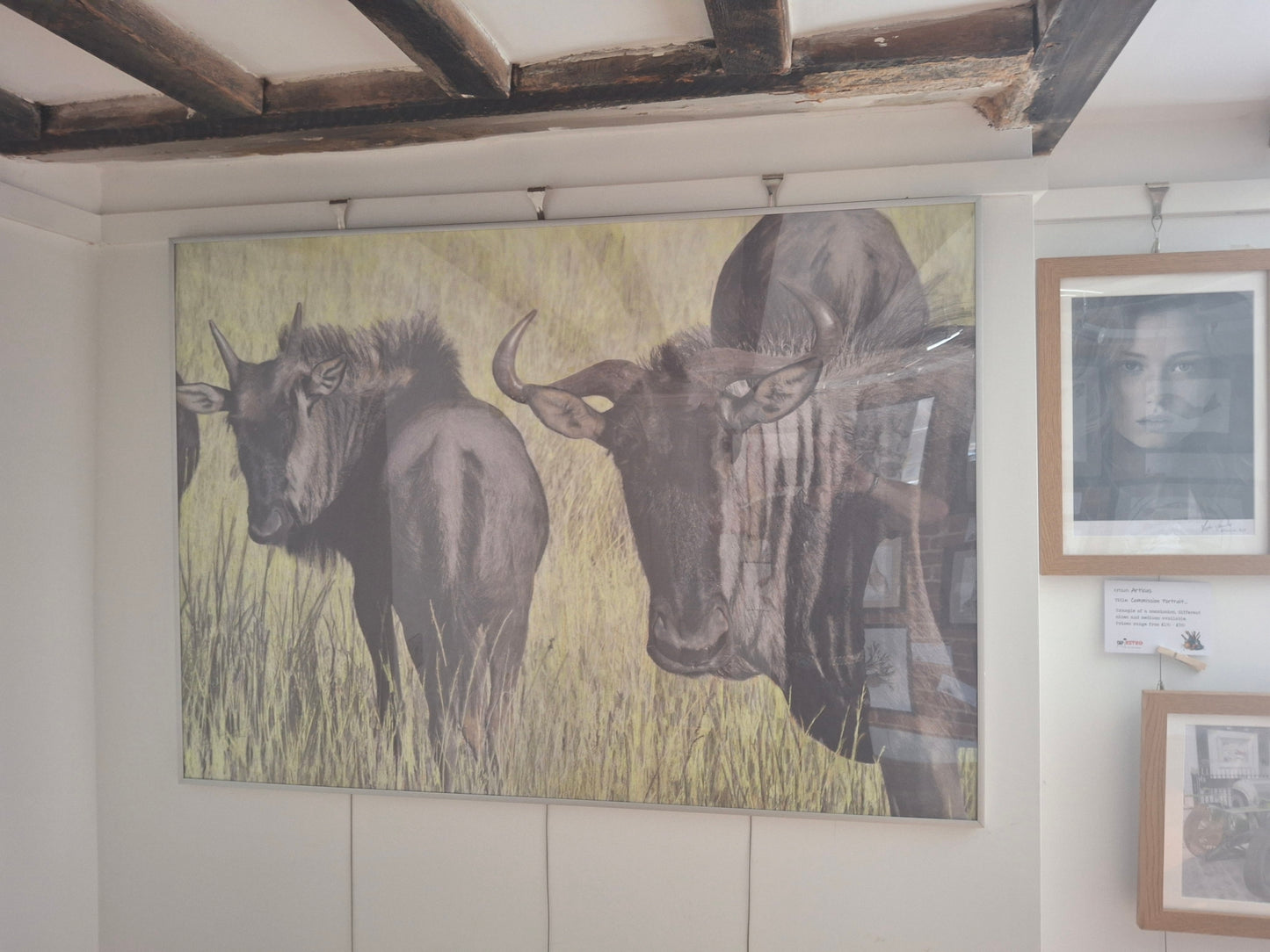 Gnus