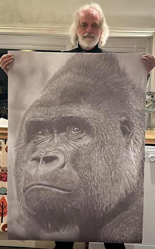 Gorilla