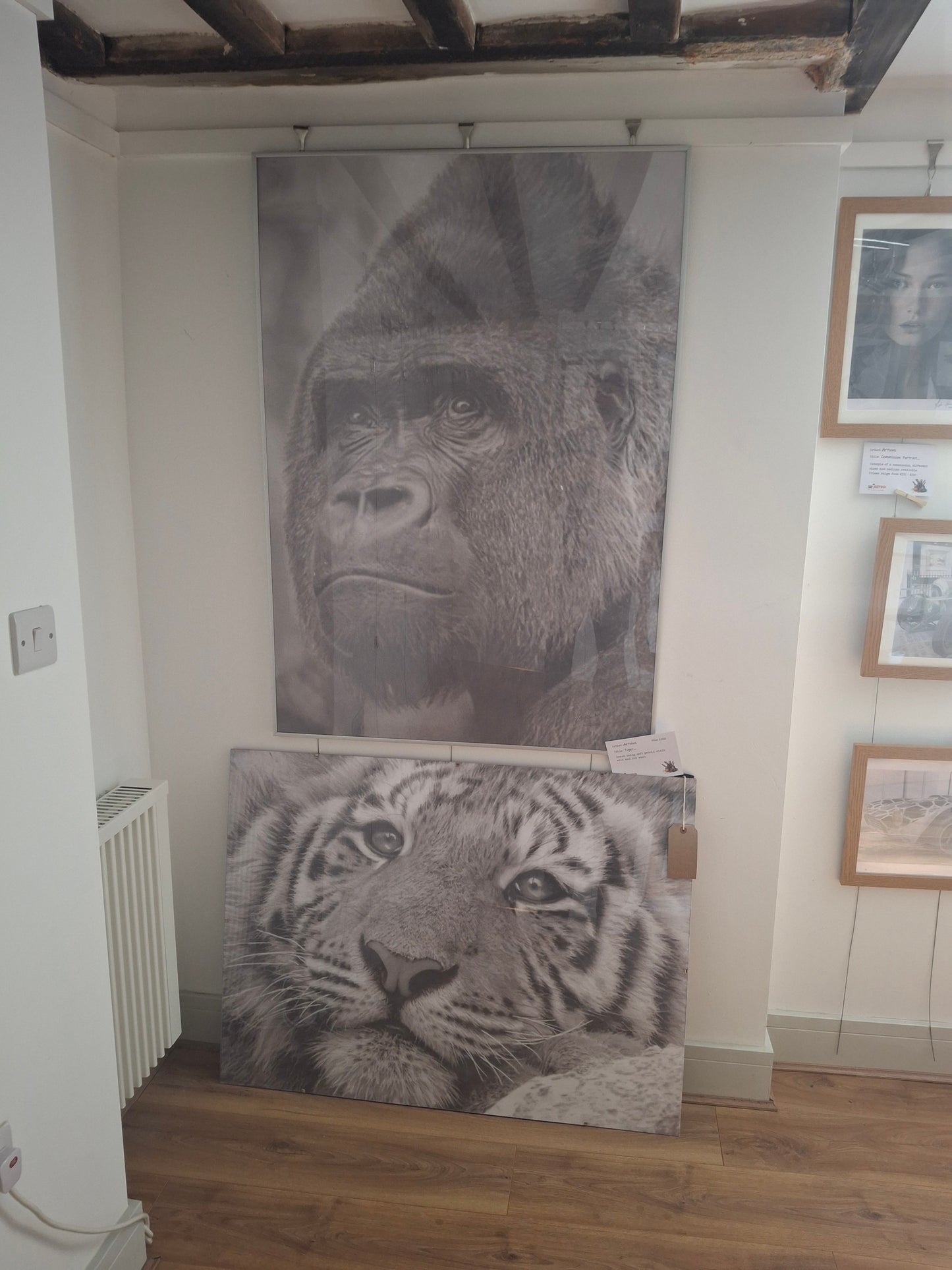Gorilla