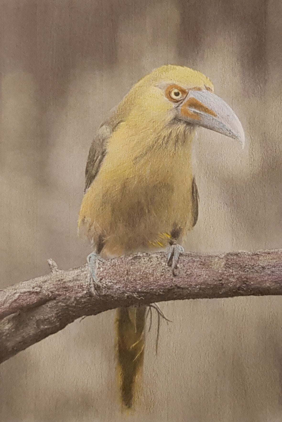 Jungle bird
