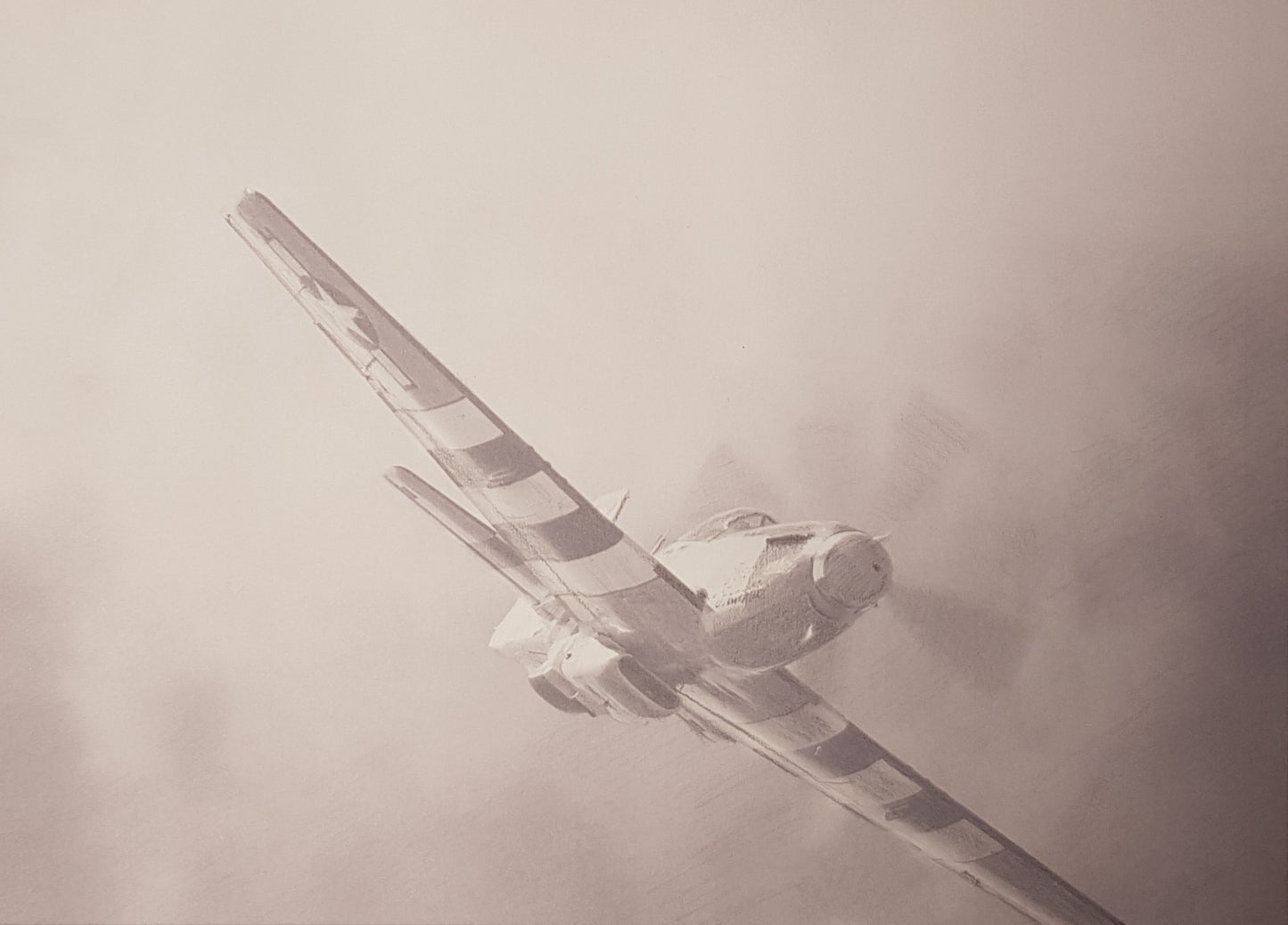 Mustang Fighter