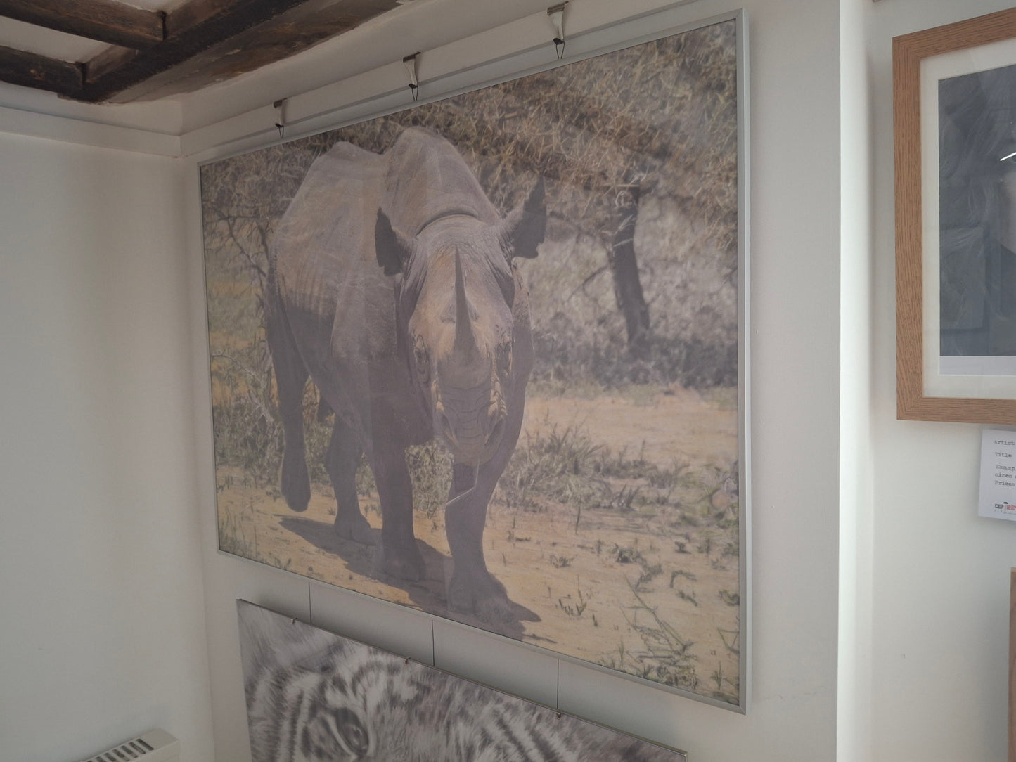 Rhino