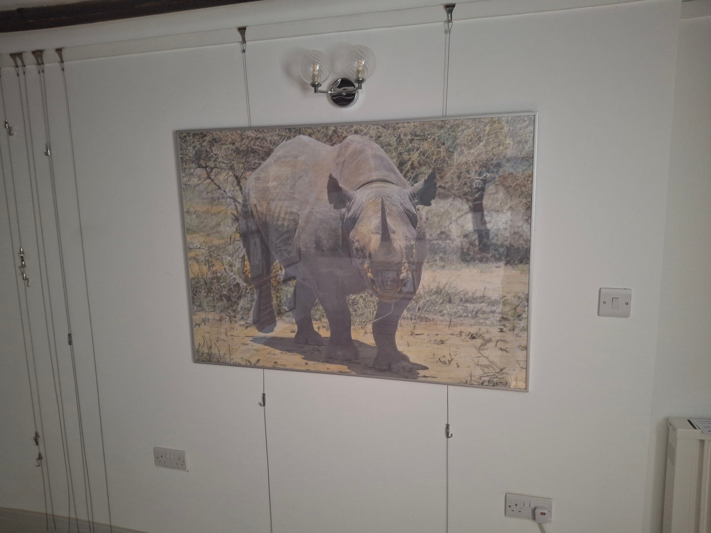 Rhino