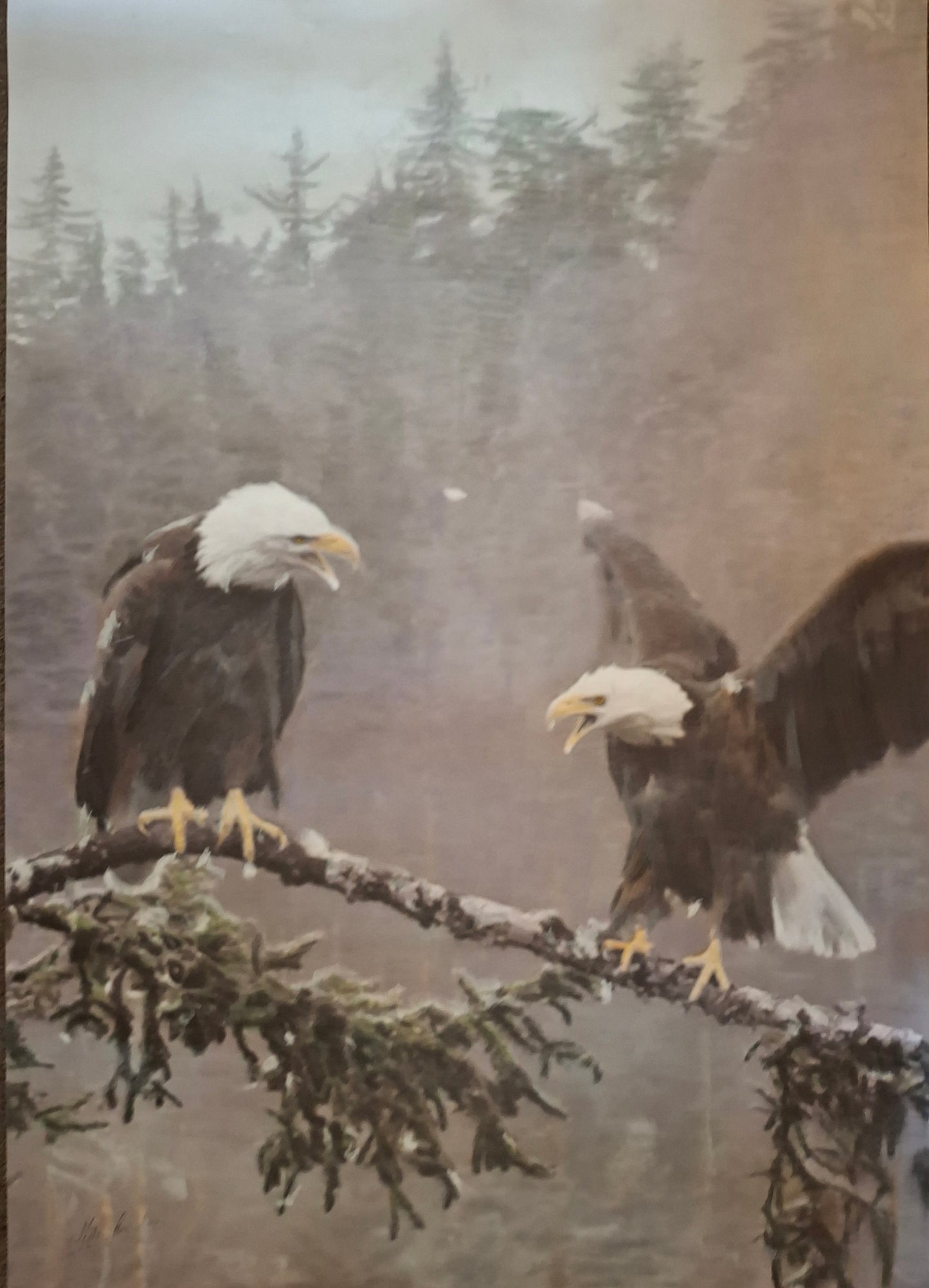 Eagles