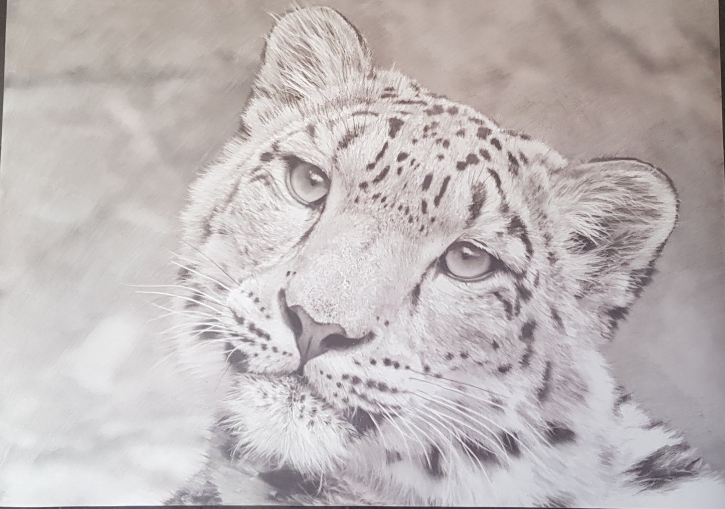 Snow Leopard