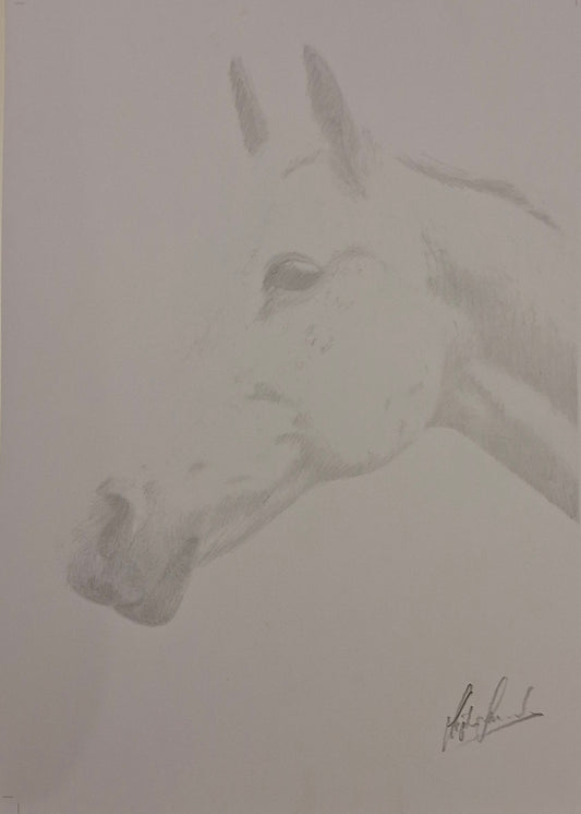 Portrait of a horse