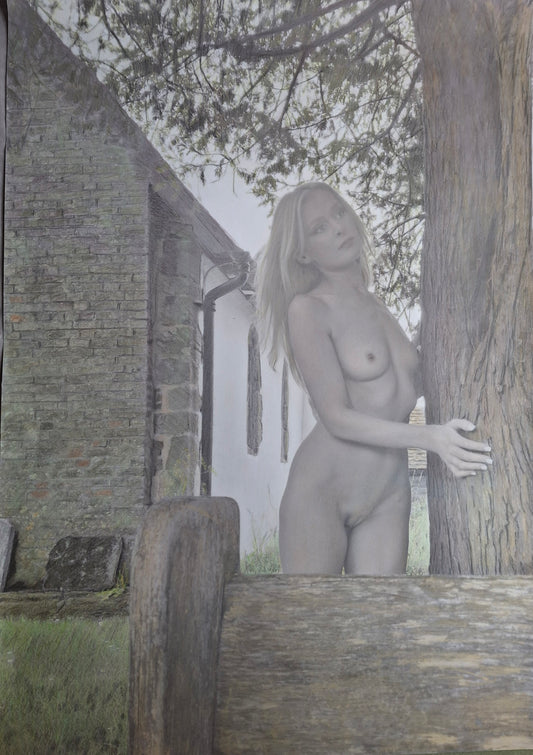 Amelie Brava Churchyard Tree