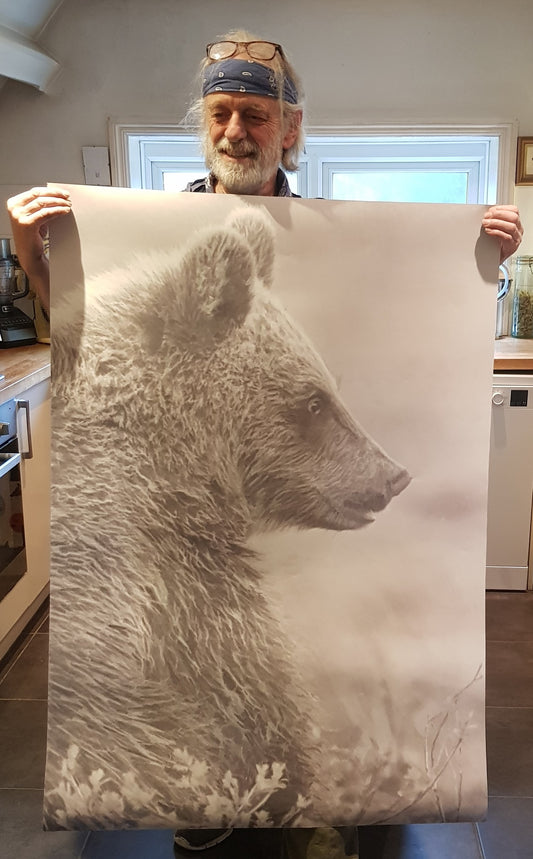 Bear