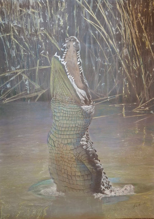 Crocodile