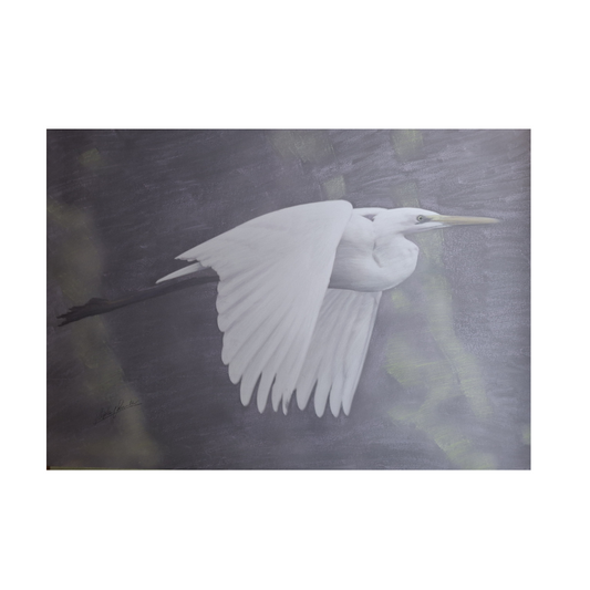 Egret