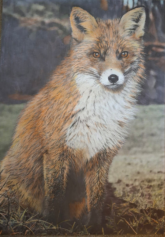Fox
