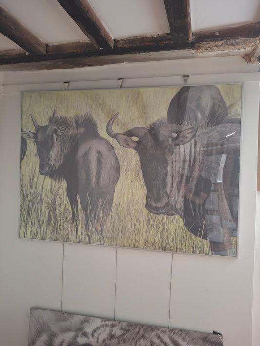 Gnus
