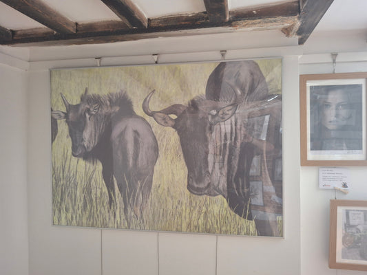Gnus