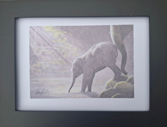 Young Elephant (SOLD)