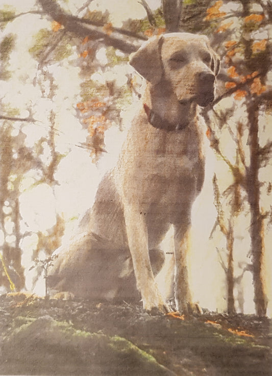 'Munch', Portrait of a dog. Commission example.
