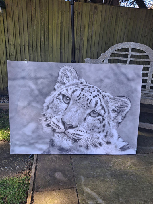 Snow Leopard
