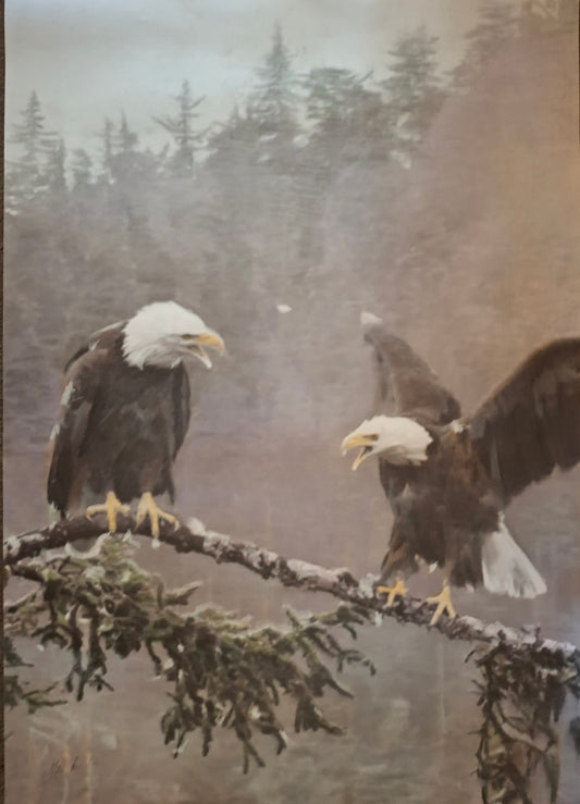 Eagles