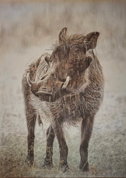 Warthog