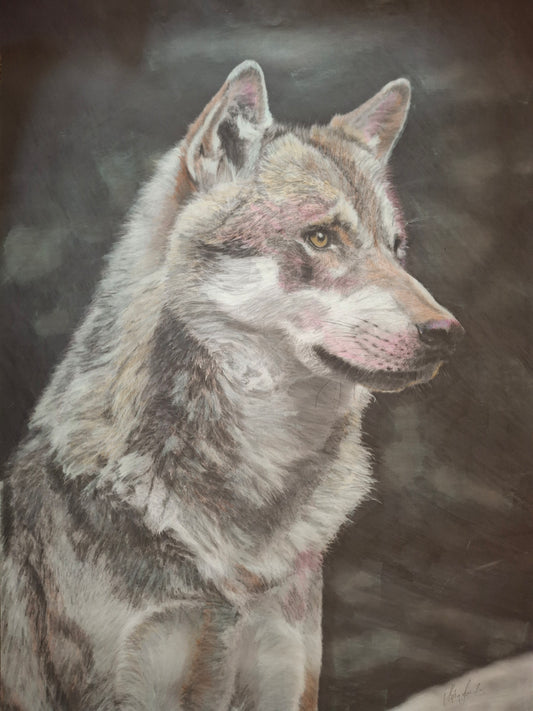 Wolf