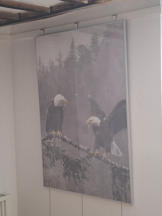 Eagles